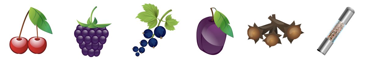 vůně a chuť vína Merlot DS